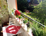 Blick ins Grüne vom Balkon
